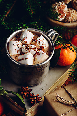 포토 JPG 해외이미지 빵 잎 귤 실내 따뜻함 사람없음 책 선물상자 머그컵 달콤 감성 코코아 마시멜로우 코코아가루 팔각회향 해외포토 식물 음료 음식 컨셉 과일 디저트 선물 내부 컵 상자 맛 가루 향신료 파일형식 이미지허브