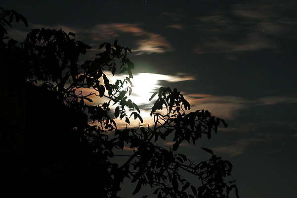 포토 JPG 해외이미지 별 거리 사람없음 빛 우주 인공위성 보름달 달 점 달빛 영토 지역 궤도 땅바닥 해외포토 자연요소 통신 바닥 파일형식 이미지허브