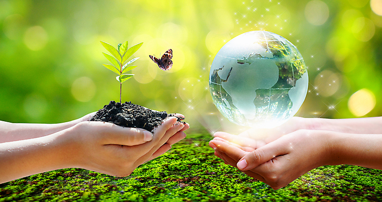 포토 JPG 해외이미지 손 지구 나비 자연 생명 잔디 신체부위 새싹 흙 원형 구슬 에코 손모으기 해외포토 도형 식물 곤충 사람 손짓 환경 생태계 파일형식 이미지허브