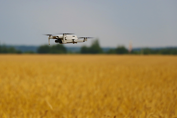 포토 JPG 해외이미지 식물 꽃 음식 백그라운드 밭 농업 자연 하늘 추상 안테나 씨앗 풍경 사람없음 초록색 여름 파란색 농작물 농장 농경지 노란색 맑음 봄 에너지 벚꽃 시골 개화 황금 땅 밀 유채 질감 트랙터 드론 바이오 밭일 생태학 카놀라 해외포토 계절 교육 산업 컬러 무늬 통신 날씨 곡류 농기계 생태계 특수차량 파일형식 이미지허브