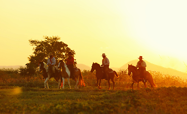 포토 JPG 해외이미지 동물 디자인 남자 실루엣 밧줄 스포츠 백그라운드 벽지 멕시코 미술 사람 소년 성인 야외 세명 농장 일출 미국 일몰 목장 사막 총 수확 카우보이 가죽 그림 복고 쇼 타운 로데오 라이더 서쪽 옛날 텍사스 스타일 해외포토 무기 어린이 줄 북아메리카 농업 문화예술 촬영기법 노을 도시 방향 파일형식 이미지허브