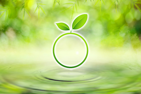 포토 JPG 해외이미지 나무 식물 디자인 파도 잎 꽃무늬 패턴 자연 아침 추상 건강 잔디 사람없음 야외 아웃포커스 초록색 물 빛 태양 환경 정원 봄 새벽 젖음 성장 물방울 신선 원형 액체 떨어짐 이슬 에코 보케 내추럴 블러 효과 해외포토 주간 자연요소 도형 계절 꽃 바다 컬러 컨셉 무늬 촬영기법 생태계 파일형식 이미지허브