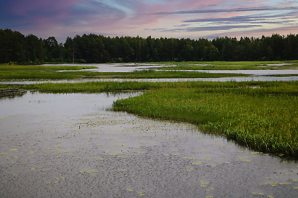 포토 JPG 해외이미지 나무 동물 구름 계절 공원 유럽 호수 파도 여행 백그라운드 잎 자연 하늘 주택 어류 미술 풍경 사람없음 야외 초록색 물 여름 파란색 강 태양 뷰티 반사 계곡 맑음 침묵 봄 시골 숲 언덕 장면 내추럴 전국 수평선 해외포토 자연요소 식물 공공시설 나라 바다 컬러 날씨 문화예술 건물 수중동물 소리 생태계 파일형식 이미지허브