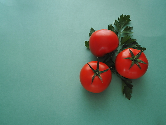 포토 JPG 해외이미지 음식 백그라운드 다이어트 토마토 채소 재료 오이 파슬리 씨앗 사람없음 주방 신선 상추 케첩 파란배경 녹색배경 건강식 고립 숙성 해외포토 식물 건강 초록색 파란색 소스_음식 파일형식 이미지허브