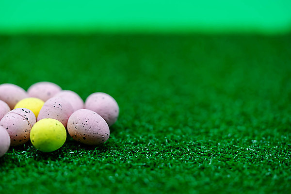 포토 JPG 해외이미지 식물 전통 계절 분홍색 백그라운드 꽃무늬 밭 오렌지 자연 하늘 휴가 부활절 사람없음 장식 가로 빨간색 초록색 파란색 컬러풀 노란색 우주 계란 축제 봄 축하 신선 그리기 정상 4월 숨김 숨기 줄서기 해외포토 기념일 꽃 컬러 컨셉 무늬 농업 과일 모션 알 날짜 생태계 파일형식 이미지허브