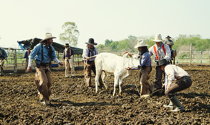 포토 JPG 해외이미지 전신 한마리 남자 여러명 성인 울타리 목장 소 승마 카우보이 카우보이모자 카우보이복장 카우보이부츠 성인남자만 해외포토 모자_잡화 1 옷 스포츠 다수 포유류 부츠 사람 담장 남자만 성인만 파일형식 이미지허브