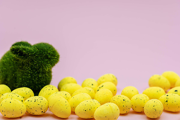 포토 JPG 해외이미지 동물 전통 계절 행복 포스터 종교 백그라운드 밭 캘리그라피 자연 하늘 아침 휴가 털 선물 타이포그라피 사람없음 야외 장식 초록색 반려동물 컬러풀 바구니 봄 축하 토끼 인사 신용카드 화려 작음 4월 편지 부활절계란 엽서 위치 엘리먼트 해외포토 주간 문자 감정 컬러 컨셉 농업 포유류 부활절 금융 계란 예절 날짜 크기 생태계 파일형식 이미지허브