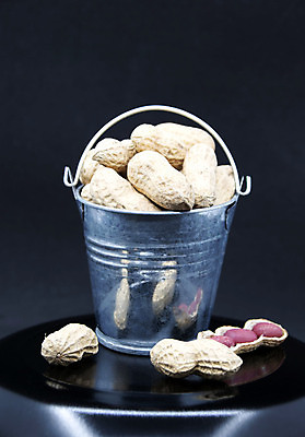 포토 JPG 해외이미지 식물 음식 자연 아침 건조 건강 씨앗 사람없음 빨간색 갈색 미니어처 에너지 견과류 작음 양동이 유기농 날것 땅콩 단백질 채식주의자 해외포토 주간 웰빙 컬러 모형 크기 생태계 채식 영양소 파일형식 이미지허브