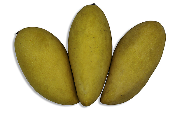 포토 JPG 해외이미지 클리핑패스 음식 백그라운드 농업 다이어트 과일 재료 자연 건강 요리 동양인 사람없음 노란색 주스 수확 신선 그룹 달콤 맛 먹기 흰배경 유기농 날것 망고 내추럴 고립 구성 숙성 이국적 채식주의자 비건 해외포토 웰빙 산업 음료 컬러 컨셉 모션 인종 흰색 열대과일 생태계 채식 파일형식 이미지허브