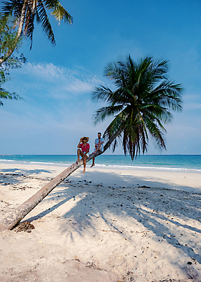 포토 JPG 해외이미지 나무 라이프스타일 커플 여자 남자 행복 유럽 아시아 모래 바다 여행 태국 휴가 열대 손바닥 사랑 동양인 야외 두명 파란색 야자수 환경 맑음 산책 신혼여행 흰색 코코넛 이국적 터키석 파라다이스 해외포토 식물 손 감정 나라 컬러 결혼 과일 관계 날씨 휴식 사람 인종 생활 보석 파일형식 이미지허브