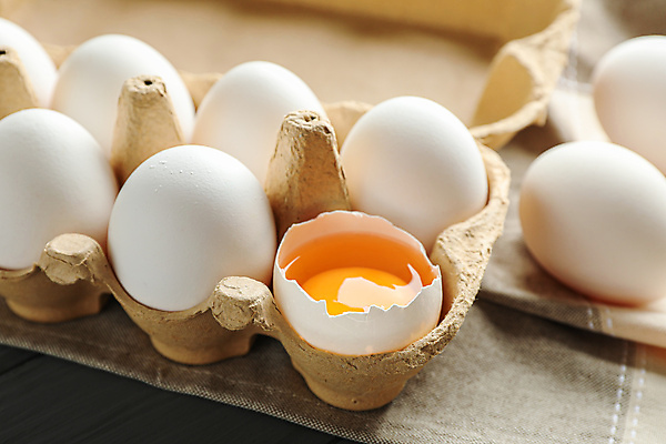 포토 JPG 해외이미지 실내 사람없음 계란 계란껍데기 노른자 계란판 깨짐 해외포토 컨셉 내부 알 파일형식 이미지허브