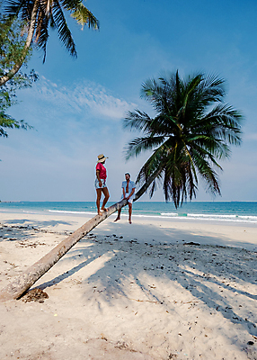 포토 JPG 해외이미지 나무 라이프스타일 커플 여자 남자 행복 유럽 아시아 모래 바다 여행 태국 휴가 열대 손바닥 사랑 동양인 야외 두명 파란색 야자수 환경 맑음 산책 신혼여행 흰색 코코넛 이국적 터키석 파라다이스 해외포토 식물 손 감정 나라 컬러 결혼 과일 관계 날씨 휴식 사람 인종 생활 보석 파일형식 이미지허브