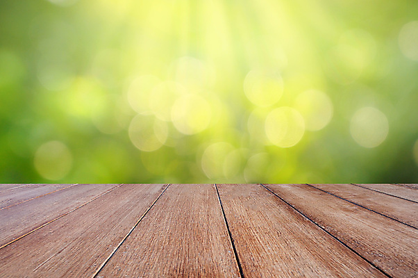 포토 JPG 해외이미지 식물 디자인 계절 백그라운드 컨셉 잎 패턴 밭 자연 하늘 추상 미술 잔디 사람없음 야외 초록색 빛 컬러풀 햇빛 태양 뷰티 환경 정원 맑음 봄 활발 성장 신선 닫기 선택 질감 보케 부드러움 내추럴 블러 효과 해외포토 자연요소 컬러 무늬 농업 모션 날씨 문화예술 감각 생태계 파일형식 이미지허브