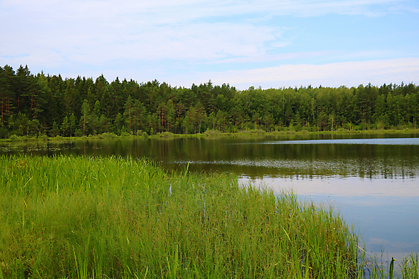포토 JPG 해외이미지 나무 동물 구름 계절 공원 유럽 호수 파도 여행 백그라운드 잎 자연 하늘 주택 어류 미술 풍경 사람없음 야외 초록색 물 여름 파란색 강 태양 뷰티 반사 계곡 맑음 침묵 봄 시골 숲 언덕 장면 내추럴 전국 수평선 해외포토 자연요소 식물 공공시설 나라 바다 컬러 날씨 문화예술 건물 수중동물 소리 생태계 파일형식 이미지허브