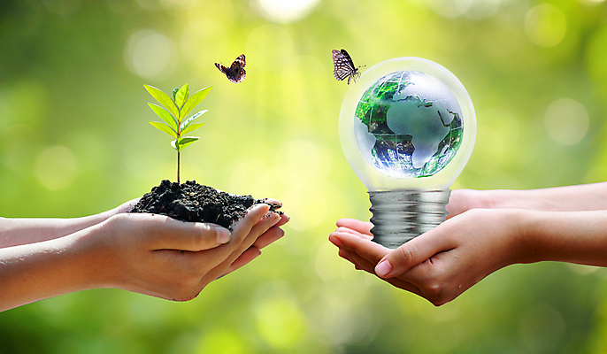 포토 JPG 해외이미지 손 지구 나비 전구 자연 생명 잔디 신체부위 새싹 흙 에코 손모으기 해외포토 식물 곤충 사람 손짓 환경 생태계 파일형식 이미지허브