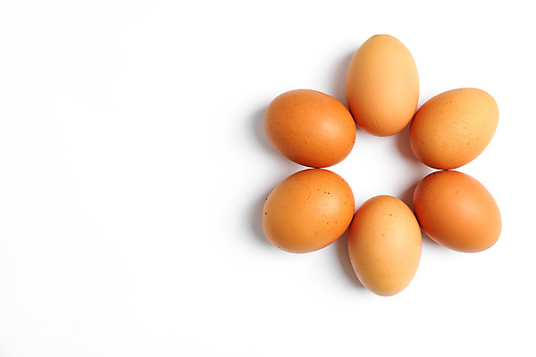 포토 JPG 해외이미지 실내 사람없음 하이앵글 계란 흰배경 카피스페이스 해외포토 뷰포인트 백그라운드 내부 알 공백 흰색 파일형식 이미지허브