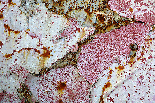 포토 JPG 해외이미지 접시 디자인 배너 산업 벽 백그라운드 패턴 오렌지 자동차 표면 날씨 추상 프레임 미술 사람없음 빨간색 갈색 금속 손상 수확 판넬 거친 은색 철 묘사 부식 질감 복고 그런지 옛날 철강 해외포토 식기 육상교통 컬러 컨셉 무늬 농업 과일 재질 문화예술 파일형식 이미지허브