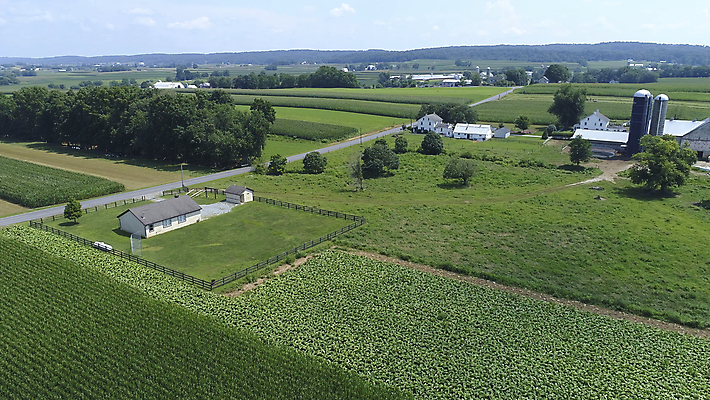 포토 JPG 해외이미지 식물 구름 계절 산업 문화 음식 백그라운드 잎 밭 농업 채소 자연 하늘 호박 옥수수 풍경 사람없음 야외 초록색 여름 파란색 농작물 농장 농경지 환경 맑음 봄 수확 성장 시골 신선 낟알 땅 유기농 장면 내추럴 드론 밭일 줄서기 수평선 세련 해외포토 자연요소 웰빙 컬러 모션 날씨 곡류 생태계 파일형식 이미지허브