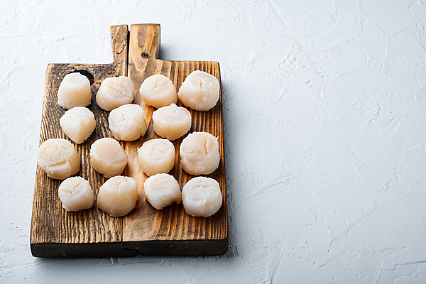 포토 JPG 해외이미지 조개 실내 사람없음 흰배경 가리비 관자 나무도마 카피스페이스 해외포토 백그라운드 어패류 도마 내부 목재 공백 흰색 파일형식 이미지허브