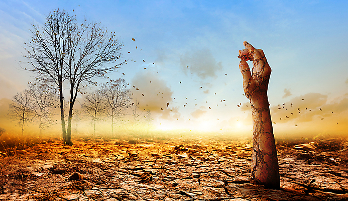 포토 JPG 해외이미지 나무 식물 손 실루엣 지구 줄기 백그라운드 컨셉 잎 자연 표면 새로움 건조 씨앗 사람없음 야외 목재 초록색 파란색 빛 글로벌 환경 정원 흙 봄 사막 성장 나뭇가지 죽음 신선 땅 에코 뿌리 먼지 가뭄 내추럴 돌봄 땅바닥 생태학 옛날 해외포토 계절 교육 컬러 재료 모션 날씨 바닥 촬영기법 신체부위 생태계 파일형식 이미지허브