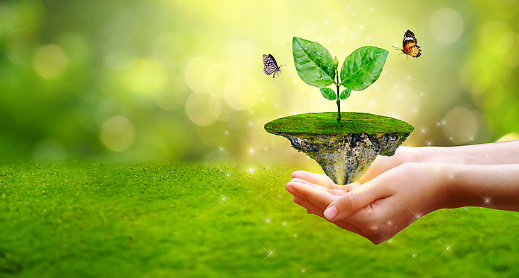 포토 JPG 해외이미지 손 나비 자연 생명 잔디 신체부위 새싹 에코 손모으기 해외포토 식물 곤충 사람 손짓 환경 생태계 파일형식 이미지허브