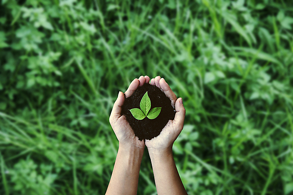 포토 JPG 해외이미지 나무 식물 손 지구 백그라운드 컨셉 잎 농업 자연 관리 씨앗 사람 사람없음 초록색 물 세계 글로벌 농장 지구본 환경 정원 희망 봄 행성 에너지 성장 신선 잡기 보호 숲 에코 생태계 내추럴 개발 돌봄 모종 생태학 소셜 해외포토 자연요소 계절 교육 감정 산업 컬러 모션 신체부위 우주 파일형식 이미지허브