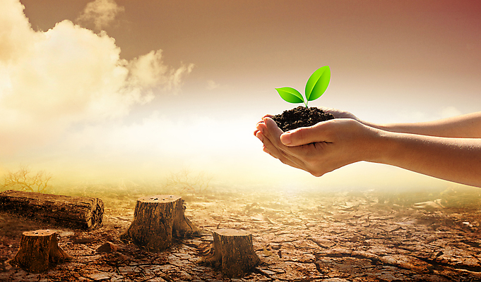 포토 JPG 해외이미지 나무 식물 손 지구 모래 컨셉 잎 농업 자연 표면 날씨 새로움 건조 씨앗 사람 사람없음 초록색 글로벌 지구본 환경 흙 사막 성장 신선 잡기 뜨거움 균열 보호 땅 가뭄 지구온난화 땅바닥 모종 생태학 재앙 해외포토 교육 산업 컬러 모션 바닥 신체부위 생태계 기후변화 파일형식 이미지허브