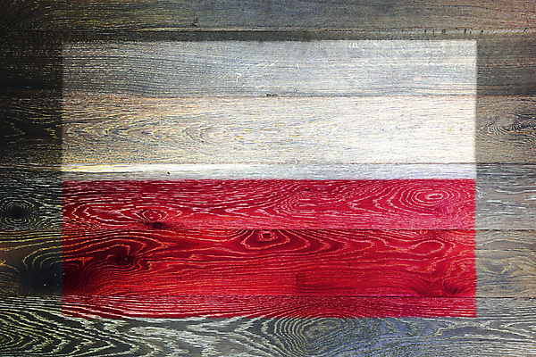 포토 JPG 해외이미지 디자인 벽 백그라운드 패턴 자연 표면 추상 바닥 프레임 사람없음 목재 장식 빛 세계 갈색 페인트 줄무늬 수확 흰색 시골 깃발 판넬 거친 널 낟알 심볼 책상 묘사 사인 질감 복고 폴란드 애국심 내추럴 그런지 수목 옛날 전국 해외포토 나무 유럽 컬러 가구 무늬 농업 재료 생태계 파일형식 이미지허브