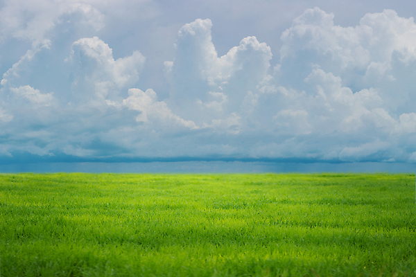 포토 JPG 해외이미지 식물 구름 계절 여행 백그라운드 밭 농업 자연 벽지 하늘 날씨 풍경 잔디 사람없음 야외 초록색 여름 파란색 농작물 햇빛 농장 평화 환경 정원 맑음 봄 수확 시골 신선 땅 장면 천국 내추럴 파라다이스 평야 호밀 수평선 해외포토 자연요소 산업 컬러 컨셉 곡류 태양 생태계 파일형식 이미지허브