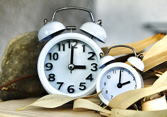 포토 JPG 해외이미지 계절 시계 백그라운드 컨셉 잎 2 겨울 비즈니스 탁자 화살 3 풍경 사람없음 야외 목재 빛 햇빛 검은색 수확 가을 흰색 시간 업무 절약 원형 개화 변화 떨어짐 심볼 손목시계 경영자 복고 공포 과거 내추럴 경영 블러 유칼립투스 카운트다운 해외포토 도형 나무 식물 꽃 컬러 가구 농업 재료 장신구 태양 작업 리더 파일형식 이미지허브