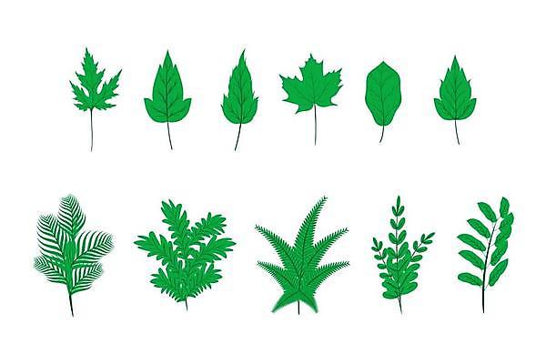EPS 해외이미지 나무 식물 계절 백그라운드 잎 꽃무늬 일러스트 자연 미술 장식 초록색 세트 흰색 플랫 숲 수집 심볼 에코 내추럴 고립 엘리먼트 해외일러스트 꽃 컬러 무늬 문화예술 환경 생태계 파일형식 벡터 이미지허브