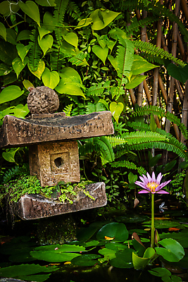 포토 JPG 해외이미지 식물 꽃잎 꽃 호수 선 백그라운드 잎 꽃무늬 자연 휴식 동양인 사람없음 초록색 물 평화 정원 일본 보라색 침묵 봄 벚꽃 연못 신선 개화 명상 싱글 내추럴 해외포토 자연요소 계절 아시아 컬러 컨셉 무늬 인종 소리 생태계 파일형식 이미지허브