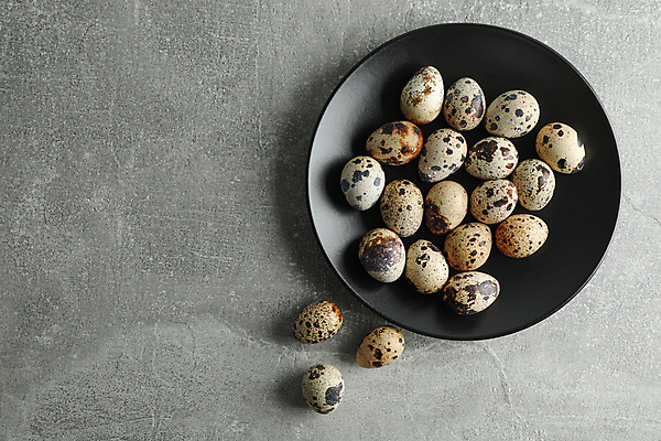 포토 JPG 해외이미지 동물 접시 음식 백그라운드 컨셉 다이어트 재료 자연 탁자 조류 휴가 건강 요리 사람없음 상자 농장 갈색 세일 우주 계란 검은색 회색 신선 사발 아침식사 상품 정상 작음 먹기 유기농 날것 노른자 메추리알 내추럴 고립 단백질 메추리 삶기 생식 많음 해외포토 식기 웰빙 컬러 가구 농업 모션 알 식사 사기그릇 크기 생태계 영양소 파일형식 이미지허브