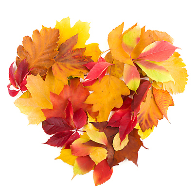 포토 JPG 해외이미지 단풍 낙엽 사람없음 하트 오브젝트 해외포토 모양 잎 파일형식 이미지허브