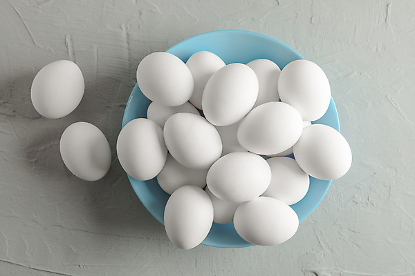 포토 JPG 해외이미지 그릇 회색배경 실내 사람없음 하이앵글 계란 해외포토 식기 뷰포인트 백그라운드 내부 알 회색 파일형식 이미지허브