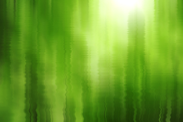 포토 JPG 해외이미지 나무 식물 디자인 계절 공원 백그라운드 컨셉 잎 패턴 일러스트 모션 자연 벽지 날씨 추상 휴식 미술 사람없음 초록색 빛 강 햇빛 뷰티 우주 정원 맑음 활발 신선 액체 소프트포커스 시원함 보케 라임 광 블러 해외일러스트 공공시설 컬러 무늬 과일 문화예술 촬영기법 태양 생태계 파일형식 이미지허브