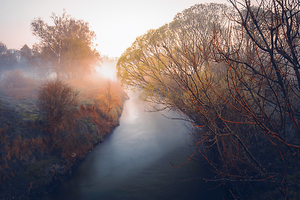 포토 JPG 해외이미지 나무 식물 계절 잎 벤치 자연 아침 날씨 휴가 휴식 그림자 사람없음 야외 목재 초록색 물 빛 강 햇빛 태양 뷰티 노란색 평화 환경 맑음 침묵 일몰 안개 광선 시골 저녁 숲 뿌리 땅바닥 해외포토 주간 자연요소 컬러 컨셉 의자 재료 바닥 노을 소리 야간 생태계 파일형식 이미지허브