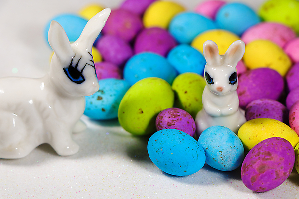 포토 JPG 해외이미지 전통 디자인 배너 계절 행복 종교 분홍색 백그라운드 컨셉 휴가 사탕 선물 이벤트 사람없음 장식 가로 파란색 컬러풀 노란색 초콜릿 사진촬영 봄 흰색 축하 토끼 인사 얼룩 신용카드 4월 부활절계란 사냥 남아프리카 테마 카피스페이스 해외포토 감정 컬러 포유류 아프리카 디저트 부활절 금융 반려동물 계란 촬영 공백 예절 날짜 파일형식 이미지허브