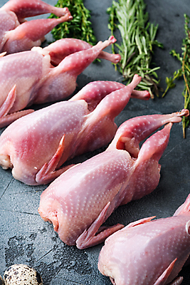 포토 JPG 해외이미지 식재료 회색배경 실내 생고기 육류 사람없음 허브 일렬 메추리알 메추리 해외포토 식물 백그라운드 내부 알 회색 파일형식 이미지허브