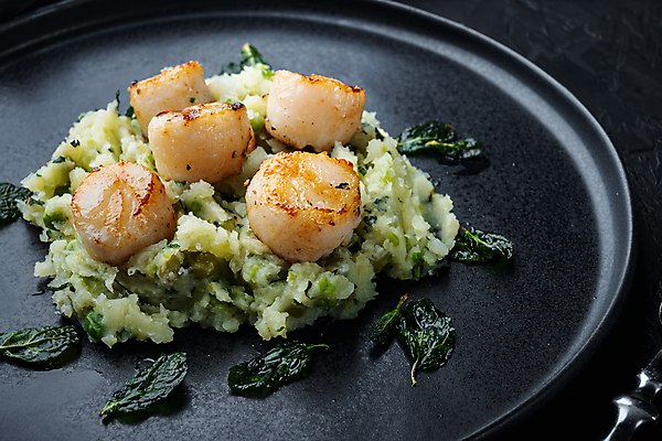 포토 JPG 해외이미지 접시 검은배경 조개 실내 사람없음 구이 가리비 관자 매시드포테이토 해외포토 식기 음식 백그라운드 어패류 내부 검은색 파일형식 이미지허브