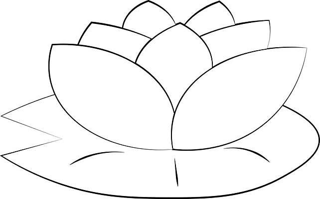 EPS 해외이미지 식물 디자인 꽃잎 꽃 실루엣 선 스티커 잎 일러스트 포장 자연 추상 연꽃 미술 그래픽 장식 물 여름 상자 디지털 공책 화목 벚꽃 신용카드 화려 낙서 인쇄 백합 스케치 순수 싱글 그림 심플 윤곽 고립 엘리먼트 이국적 해외일러스트 자연요소 계절 컨셉 무늬 문화예술 문구용품 촬영기법 금융 생태계 파일형식 벡터 이미지허브