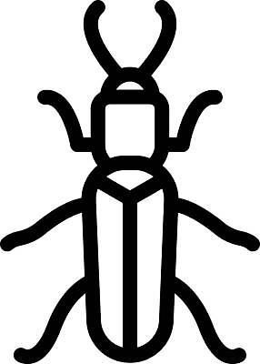 EPS 해외이미지 한마리 디자인 곤충 일러스트 사람없음 그래픽 하늘소 해외일러스트 동물 1 파일형식 벡터 이미지허브