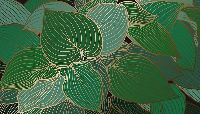 EPS 해외이미지 식물 디자인 배너 포스터 선 백그라운드 잎 꽃무늬 패턴 일러스트 포장 자연 벽지 미술 그래픽 장식 초록색 여름 금속 어둠 덮개 직물 화려 황금 고급 우아함 인쇄 그림 질감 윤곽 에메랄드 손그림 포장소품 스타일 그리너리 해외일러스트 계절 꽃 컬러 컨셉 무늬 재질 문화예술 뚜껑 보석 오브젝트 생태계 포장재료 파일형식 벡터 트랜드컬러 이미지허브