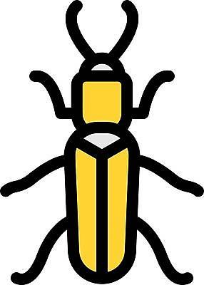 EPS 해외이미지 한마리 디자인 곤충 일러스트 사람없음 그래픽 하늘소 해외일러스트 동물 1 파일형식 벡터 이미지허브