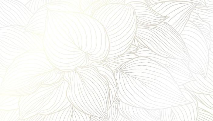 EPS 해외이미지 식물 디자인 배너 포스터 선 결혼 잎 꽃무늬 패턴 일러스트 포장 자연 벽지 추상 미술 그래픽 장식 유행 봄 덮개 흰색 화려 고급 우아함 은색 인쇄 은박지 그림 질감 윤곽 손그림 엘리먼트 포장소품 스타일 해외일러스트 계절 꽃 컬러 컨셉 무늬 문화예술 이벤트 뚜껑 오브젝트 생태계 포장재료 파일형식 벡터 이미지허브