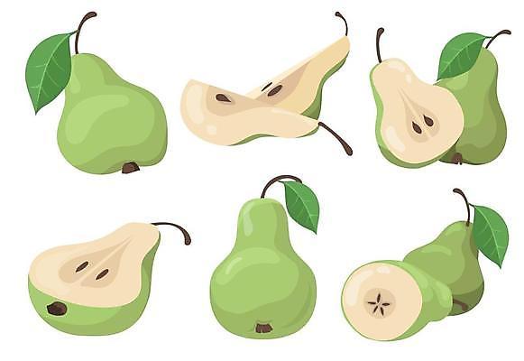 EPS 해외이미지 조각 잎 일러스트 단면 사람없음 초록색 여러개 반쪽 슬라이스 서양배 해외일러스트 식물 컬러 다수 배_과일 파일형식 벡터 이미지허브