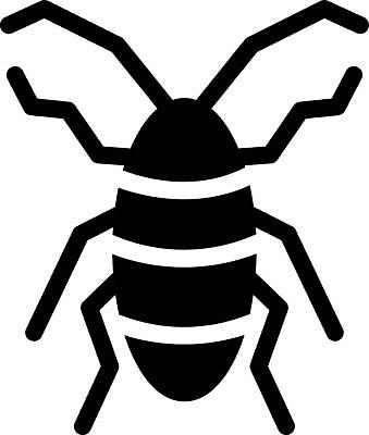 EPS 해외이미지 한마리 디자인 곤충 일러스트 사람없음 그래픽 바퀴벌레 해외일러스트 동물 1 파일형식 벡터 이미지허브