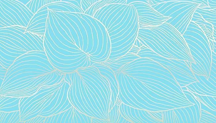 EPS 해외이미지 식물 디자인 배너 포스터 선 결혼 잎 꽃무늬 패턴 일러스트 포장 자연 벽지 추상 미술 그래픽 장식 유행 봄 덮개 화려 고급 우아함 은색 인쇄 은박지 그림 질감 윤곽 손그림 엘리먼트 터키석 포장소품 스타일 해외일러스트 계절 꽃 컬러 컨셉 무늬 문화예술 이벤트 뚜껑 보석 오브젝트 생태계 포장재료 파일형식 벡터 이미지허브