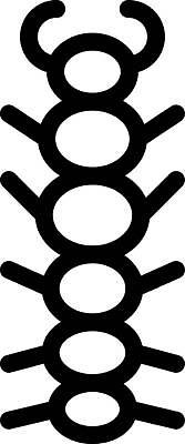 EPS 해외이미지 한마리 디자인 곤충 일러스트 사람없음 그래픽 지네 해외일러스트 동물 1 절지류 파일형식 벡터 이미지허브