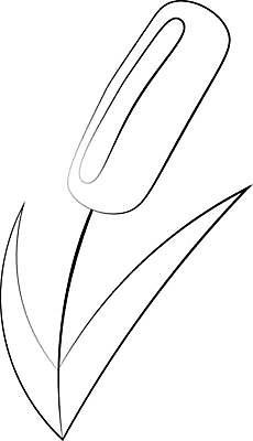 EPS 해외이미지 식물 디자인 실루엣 호수 선 줄기 스티커 잎 꽃무늬 일러스트 포장 자연 지팡이 미술 그래픽 장식 물 강 상자 디지털 공책 신용카드 습지 낙서 인쇄 관목 싱글 그림 심플 윤곽 밀짚 고립 엘리먼트 해외일러스트 자연요소 나무 꽃 무늬 문화예술 문구용품 촬영기법 금융 짚 생태계 파일형식 벡터 이미지허브